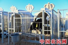 “天赋河套”:政府搭公用品牌,助民企做大做强