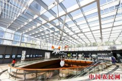 
        2018广州设计周首次设立特别项目“城市艺向”：打破边界 为广州发声
