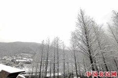 
        雪竹图里  两“美”相逢——美术报创刊25周年庆暨安吉美丽乡村艺术节举行
