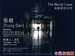 
        “我喜爱的世界——张敢作品展”将在798桥舍画廊开幕
