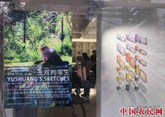 
        李玉双作品首次亮相白盒子之家  粉彩写生夏威夷
