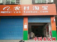 农产品电商 得青年者得天下