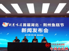 首届湖北&#183;荆州鱼糕节将于1月18日开幕