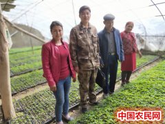 新疆乌什县：绿色产业新风貌  助力脱贫奔小康