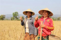 老挝的农业灌溉系统是什么样子的？