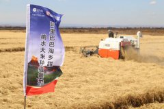 阿里数字农业事业部亮相首秀黑龙江 将建千个数字农业基地