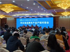 2019年河北农业领域招商引资额已超600亿元