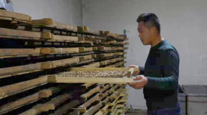 甘肃徽县引企业掘“土味” 农民烧火废料变致富“金种”