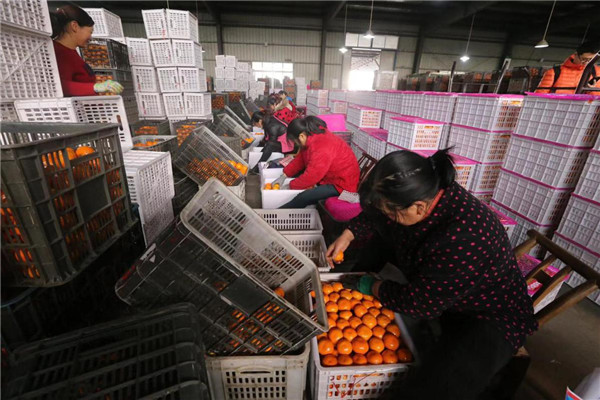 电商平台助力加速农产品上行