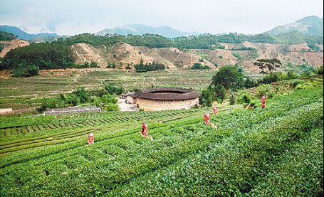 福建漳州激活“地标”效应