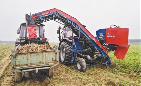 大荔15万亩胡萝卜实现全程机械化生产