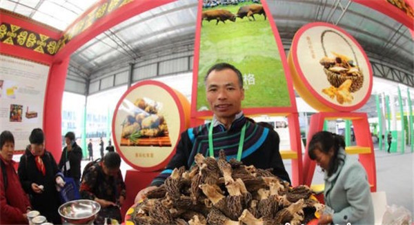 中国(泸州)第四届农产品交易博览会启幕