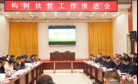 构树扶贫工作推进会在河北魏县召开