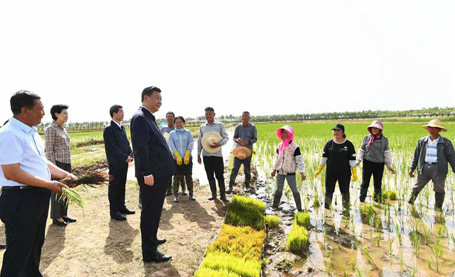 习近平在银川考察调研
