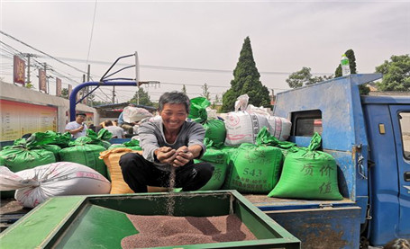 孟州：让扶贫“小菜籽”长成增收“大产业”