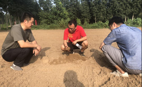 全省首个河南大学挂牌藜麦实验基地圆满完成试种任务并开始夏播实验