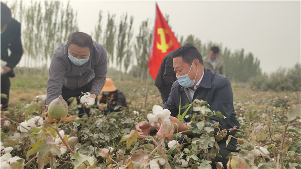 双节送温暖 金秋助农忙