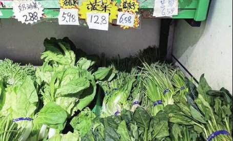 济南市场上多种蔬菜价格上涨 菠菜达12元每斤