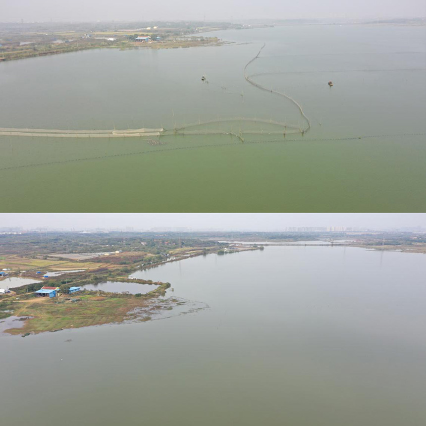 传统养殖让位于绿色发展 武汉牛山湖水质跃升