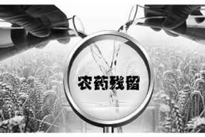 给农产品"排毒":治农药残留超标"七寸"在哪