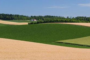 推动农药行业创新绿色发展
