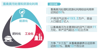 农村养殖 可以告别脏乱差