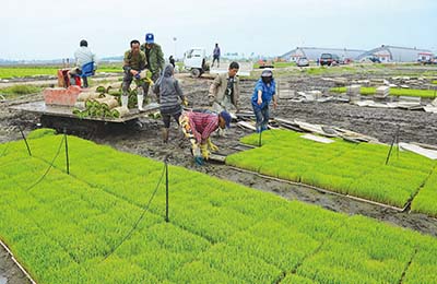 我国新型农业经营主体数量达280万个