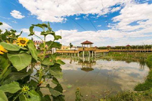 休闲农业和乡村旅游论坛在安吉举行