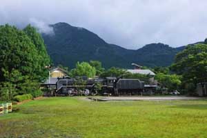 浙江休闲农业和乡村旅游 绿色经济腾飞