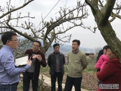 乡村旅游成农业供给侧改革新动能