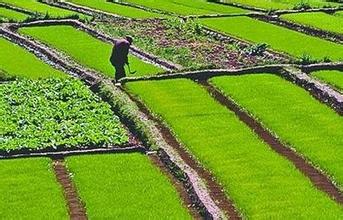 加快发展现代生态循环农业的“东台绿变”