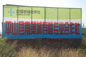 平山县南策城寿桃专业合作社