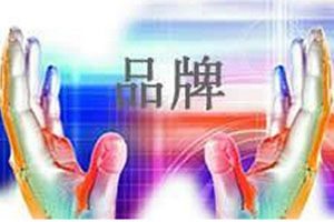 以品牌战略引领农业供给侧改革