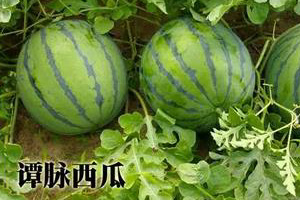 怀集新添两个国家 地理标志保护产品