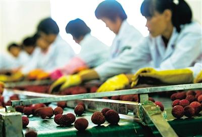 澄迈：生态农业向品牌化进发