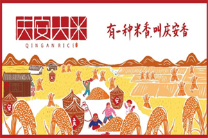 庆安构建全新大米品牌体系