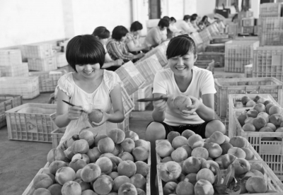 “品牌驱动”战略提升国际竞争力