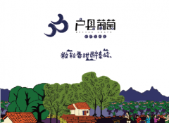 专家观点 | 蒋文龙：地标产品如何品牌化？》