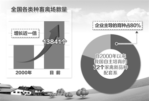 现代畜禽种业需打造自主品牌