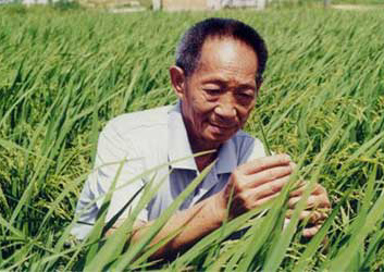 “杂交水稻之父”袁隆平获首届“吕志和奖”