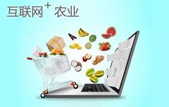 “互联网＋品牌农业”助推安丘农村电商风生水起
