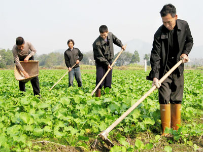 农民想学什么这里就教什么