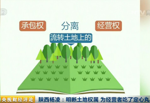 以坚持土地集体所有权、稳定农户承包权、放活土地经营权为原则的“三权分置”改革，是继家庭联产承包责任制之后，我国农村改革的又一重大制度创新，让全国4.6亿亩农村流转的土地迸发出新的活力，使承包户放心流转，经营者安心投入，亿万农民受益。