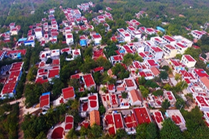 山东枣庄：红枣如缎添秋色