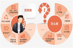 十年三农变化大，摸清家底难在哪（经济聚焦）
