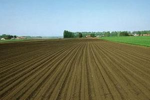 全国耕地轮作休耕制度试点规模增至1200万亩