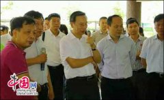 中国北稻南移取得重大突破 亩产突破1000斤