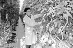 中国农业何时步入以平方米计产量时代？