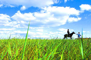 农业部副部长于康震:落实禁牧休牧制度和草原防火措施保护草原生