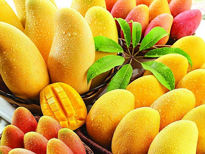 湖南长沙：水果“更新换代” 芒果菠萝最走俏
